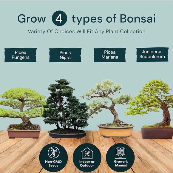 Bonsai Seed Starter Kit - Green and Purple NWT. Amazing last minute gift! - Picture 4 of 8